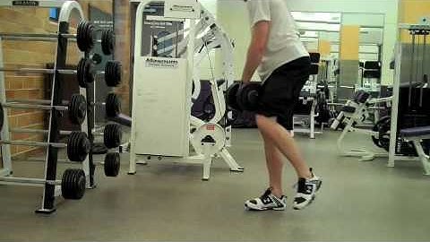 Self Made Exercise Index:  SL Romanian Deadlifts