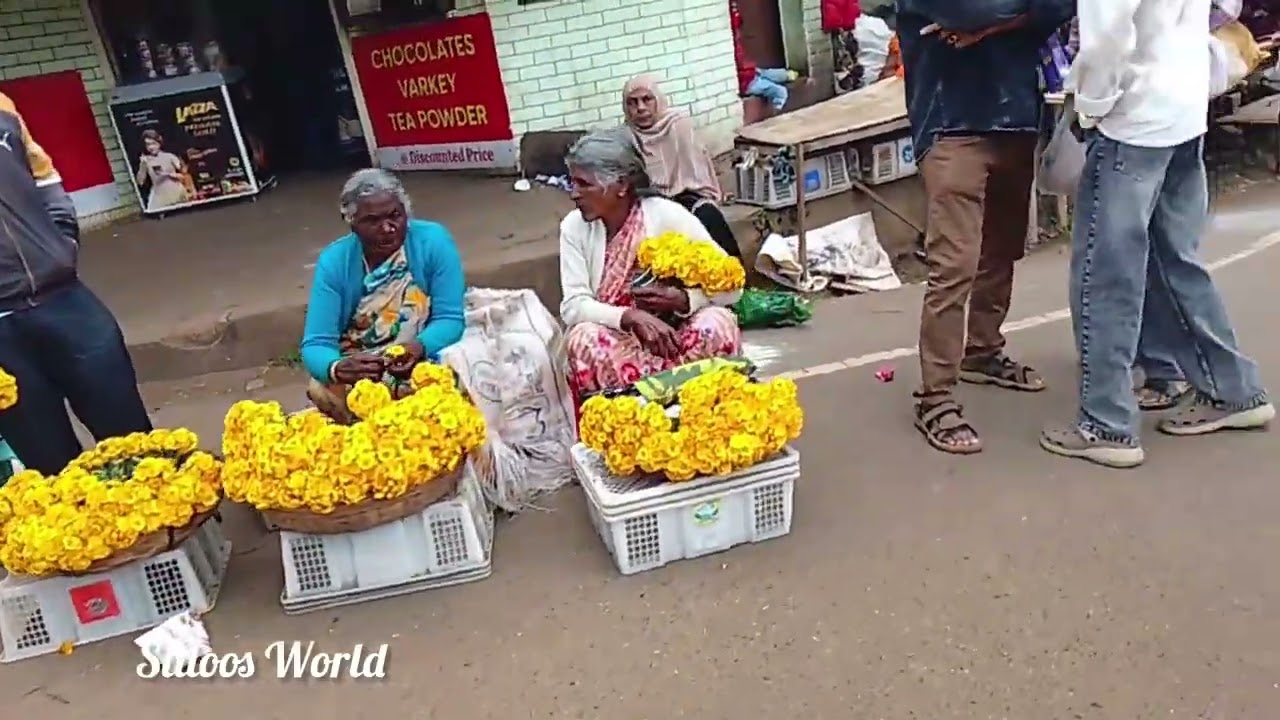 Family trip. Ooty....... അതൊരു വല്ലാത്ത എക്സ്പിരിയൻസ് അയിന്നു 😄😄👍😍