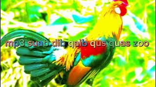 mp3 suab dib qaib qus quas zoo