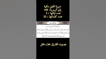 سورة الفيل بصوت القارئ علاء عقل