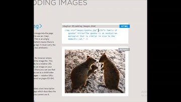 Introduction to HTML for Beginners || Inserting Images using HTML || HTML Part4