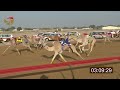 سباق اللقايا سيف العرب 27 12 2025 ش14 أثير لـ جمعه راشد سعيد بالغافريه الفلاسي 7 31 