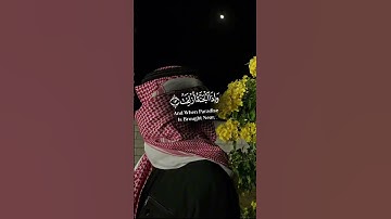 تلاوه تريح القلوب 🥹🤲🏻🤍 #القرآن_الكريم #تلاوة_خاشعة #اكسبلور #راحة_نفسية #اسلام_صبحي