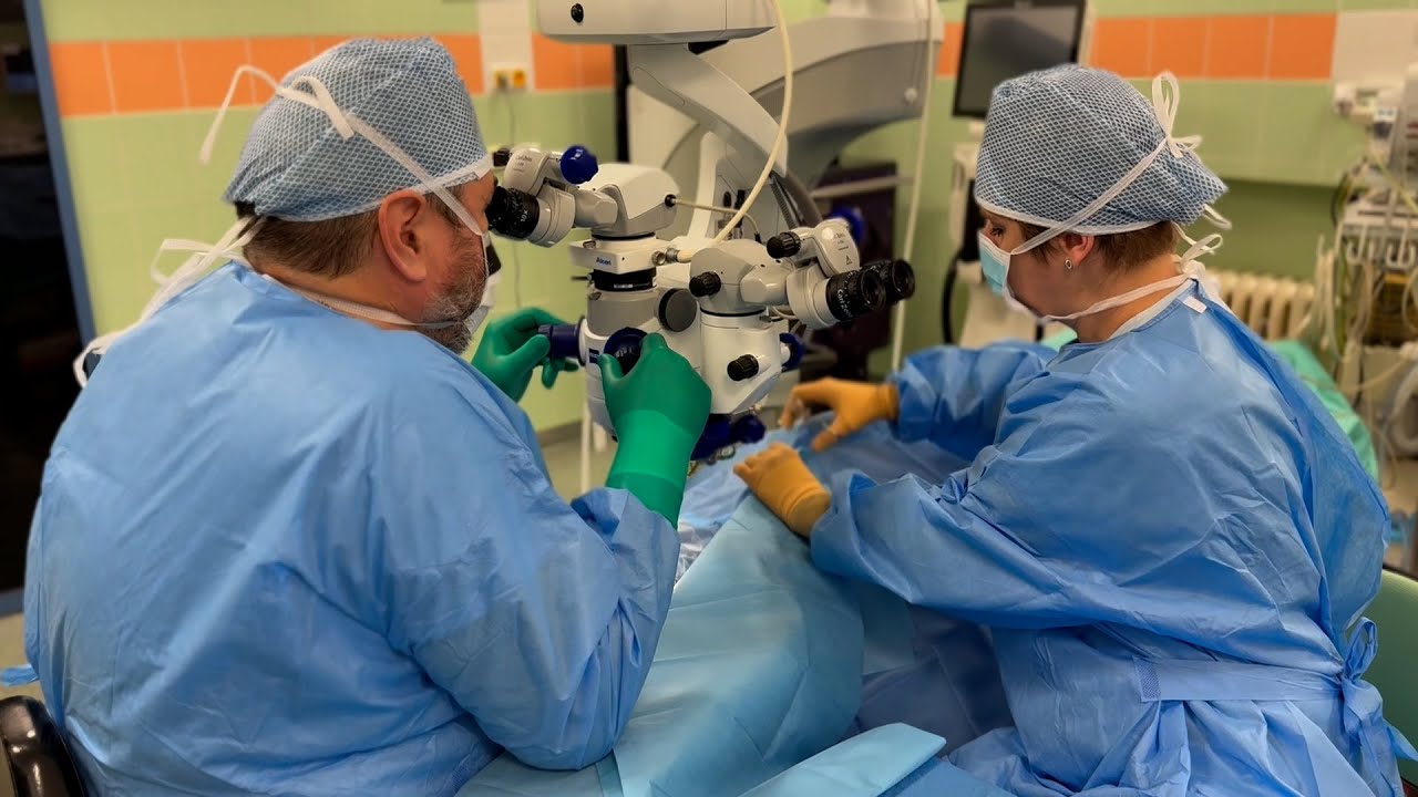 Průlom v aplikaci genové terapie