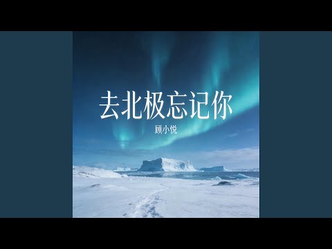 去北极忘记你 (R&B女声版)