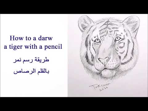 كيفية رسم وجه النمر بالقلم الرصاص خطوة بخطوة  How to draw a tiger face in  pencil step by step
