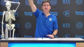 External Performance vs. Internal Performance: Posture and ROM