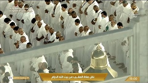 صلاة المغرب الأربعاء 9-11-1446هـ الشيخ ماهر المعيقلي  -  أواخر سورة التحريم [6-12]