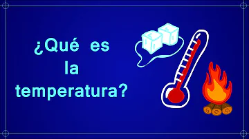 Come si chiama il termometro che misura la temperatura ambientale?