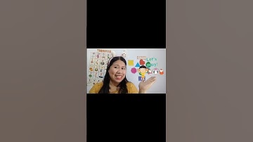 Introduction Video 1