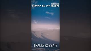 Sunday On My Sleeve 🎶 Soulful Hip Hop Beat (Choir &amp; Vocal Chop)  #freebeat #soul #fyp #instrumental