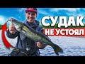 Ловля СУДАКА на СПИННИНГ на ДЖИГ! Судак не устоял от такой приманки! Рыбалка 2020!