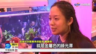 週末觀賞魚博覽會首現阿凡達神仙魚 中視新聞20170922