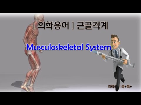 의학용어 【근골격계】Musculoskeletal System