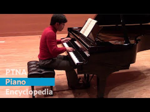 Akamatsu Rintaro / Schumann - Album für die Jugend Op.68-16