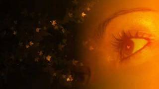 ABA Structure - Houseboats