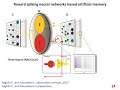 Brain inspired spiking neural networks for neuromorphic computation