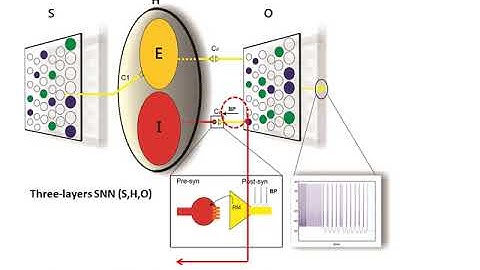 Brain inspired spiking neural networks for neuromorphic computation