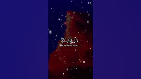 [ الذين صبروا وعلى ربهم يتوكلون ] كرومات قران  -القارئ عبدالرحمن مسعد سورة العنكبوت