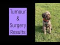 Tumour Surgery/Grading Results - Some Good News, Some not so good......