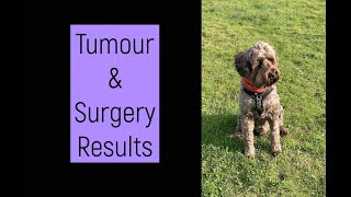 Tumour Surgery/Grading Results - Some Good News, Some not so good......