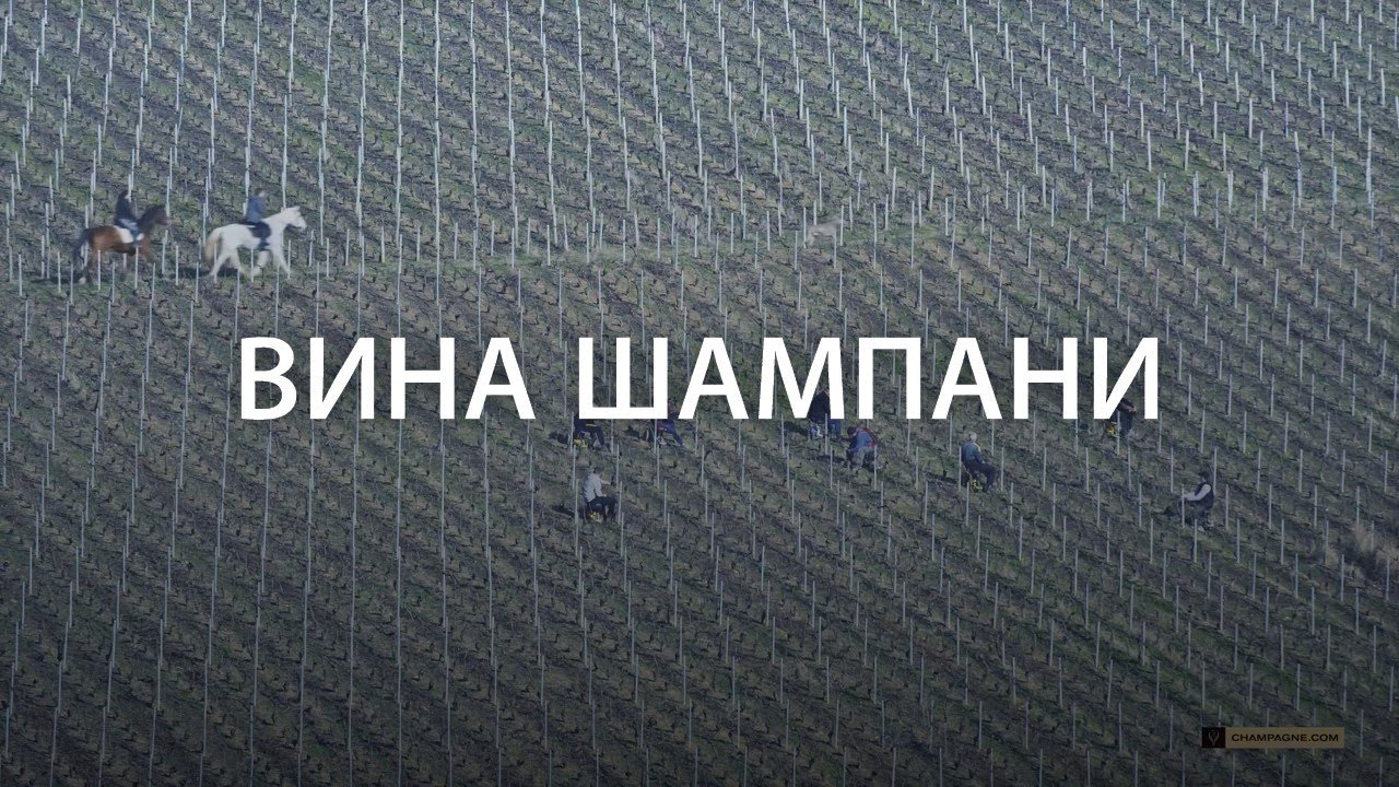 Champagne ВИНА ШАМПАНИ