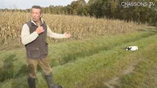 How to use a whistle when training my dog? - Chassons TV's T&A (No. 34) screenshot 2