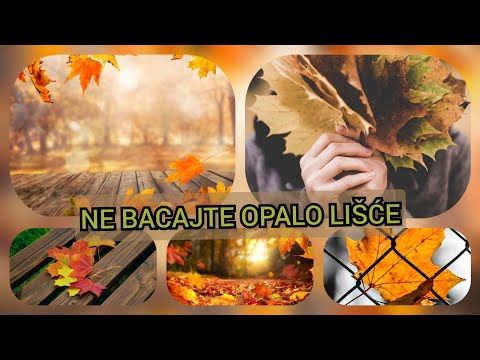 NE BACAJTE OPALO LIŠĆE EVO NA KOJI NACIN DA GA ISKORISTITE#basta