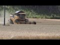 Barley harvesting in southern Finland 2013, New Holland cx 5080- Viljan puintia 2013