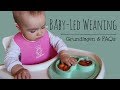 Baby-Led Weaning (BLW): Der breifreie Beikostweg | Grundlagen & FAQs