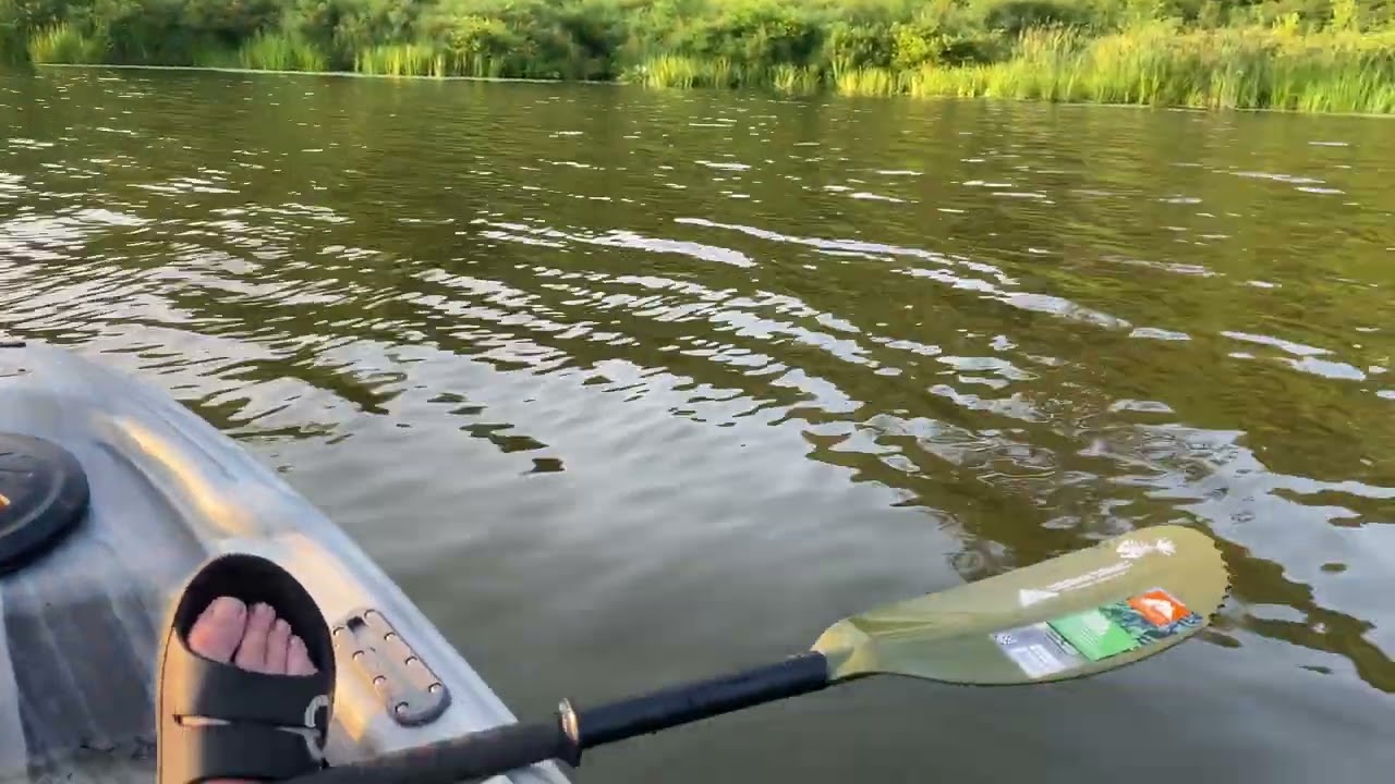 Allegany State Park - Red House Lake August 4 2023