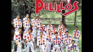 Video thumbnail of "Banda Pelillos - Adios Amor"