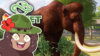 A Massive WOOLLY MAMMOTH Surprise?!🐺 Planet Zoo: Redwood Park • #14