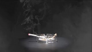 Video thumbnail of "Brandy Clark - She Smoked in the House [Official Lyric Video]"