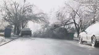Why ice is such a problem for trees, powerlines
