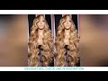 Highlight Wig 100% Human Hair Ombre Brown Lace Frontal Wig Brazilian Bleached Wigs Woman Honey Blond
