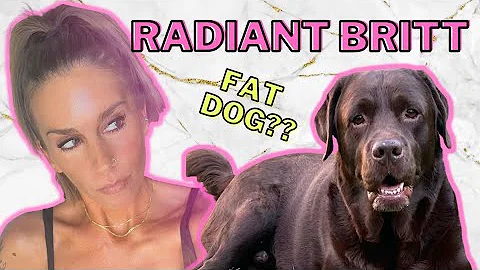 RADIANT BRITT FANS ARE RIDICULOUS!!! I Fat Shamed a dog??