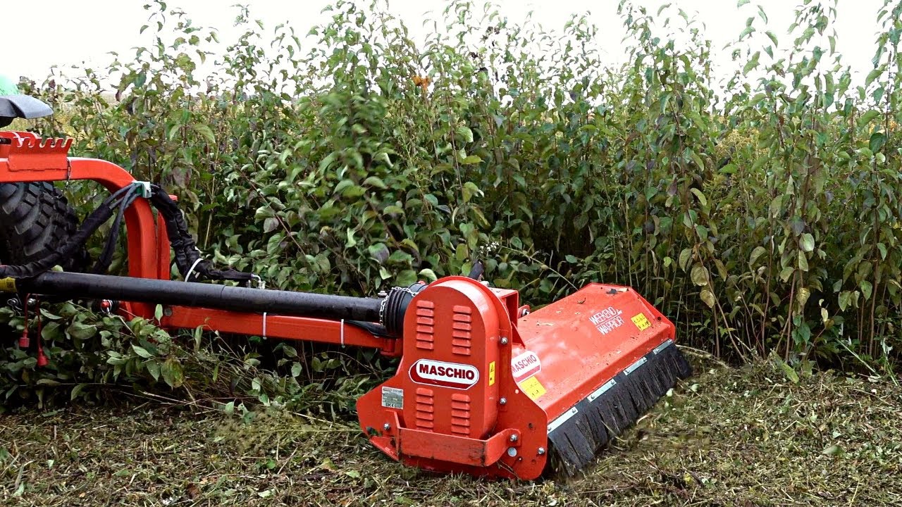 Смещенный цеп: полное уничтожение быстрорастущего кустарника. Deere 2038R Ventrac 4520 A Ritter B...