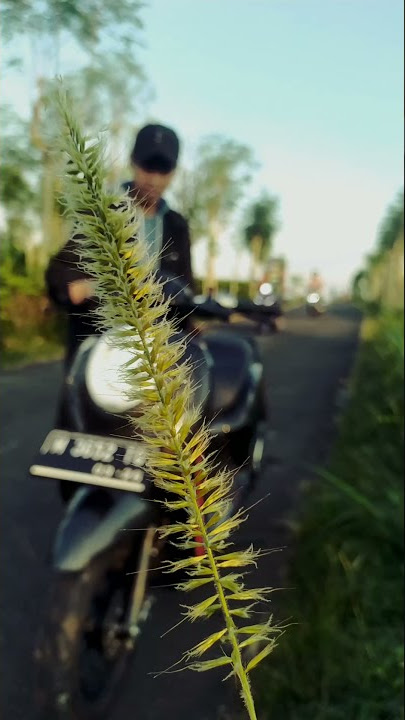 Foot fungus x Mood | CINEMATIC VIDEOS | Sotory WHATSAPP