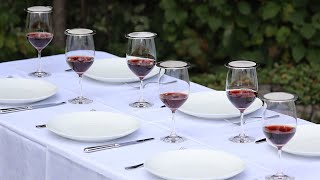 WineGuard, The Wine Glass Cover Company