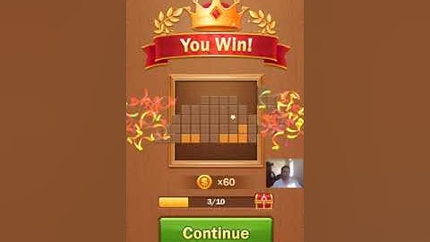 Wooden Block Jigsaw Puzzle Level 331 - 340 Walkthrough