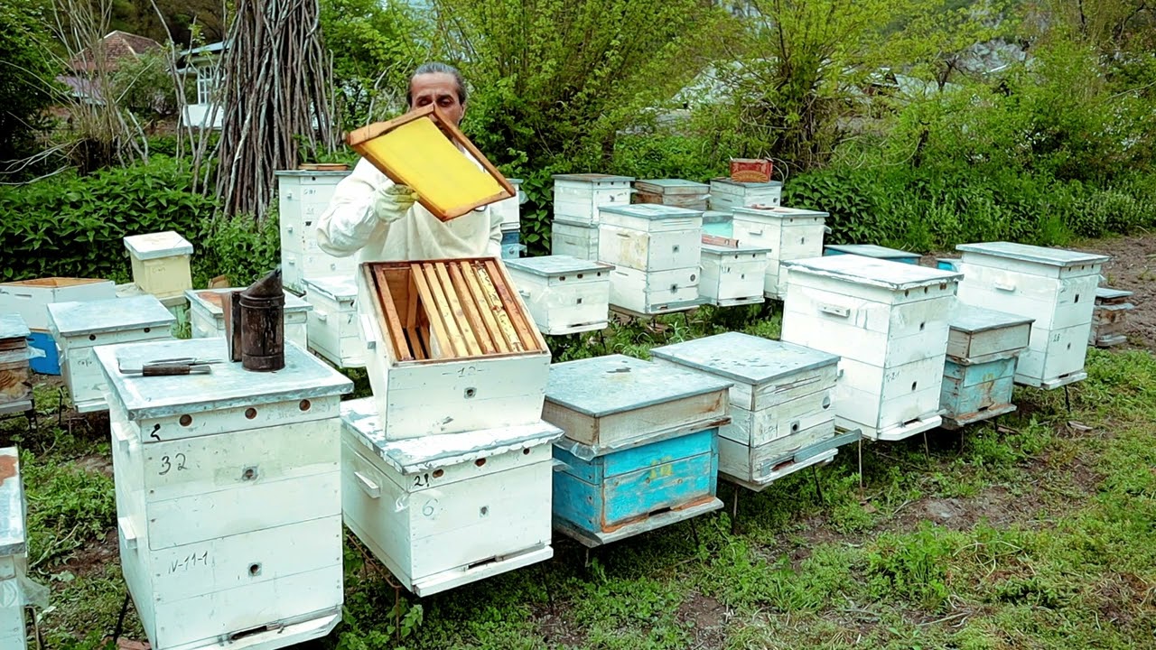 Mərtəbələr (korpuslar) aşağı, arılar yuxarı. Bu il fərqli üsulu yoxladım. Hələlik narazı deyiləm.