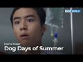 (Teaser) Dog Days of Summer | KBS WORLD TV