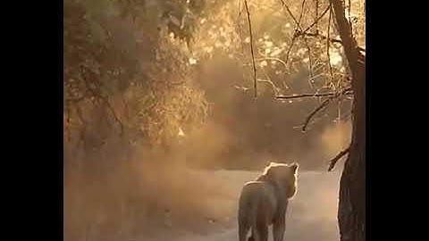 Devayat khavad attitude status