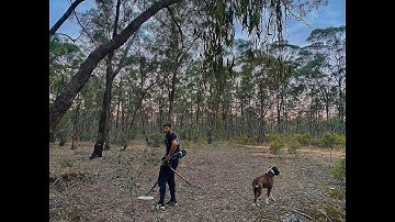 My biggest gold nugget yet with the GPX 5000! 4.35 Gram Nugget!
