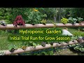 Hydroponics Backyard Garden 2020 -  Initial Trial Run Explained