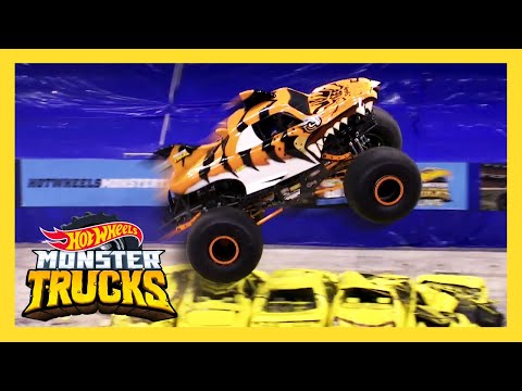 tiger shark hot wheels monster truck