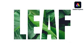 How to Mask Text on Adobe Express