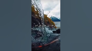 واتس اب قران كريم الشيخ بدر المشاري