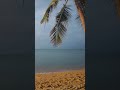 Deep Sleep Music to Ease Stress and Insomnia • Wave Sounds + Relaxing Piano for Relaxation, Calming